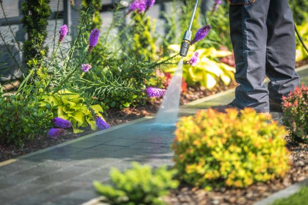 Best Driveway Pressure Washing  in Valley Stream, NY